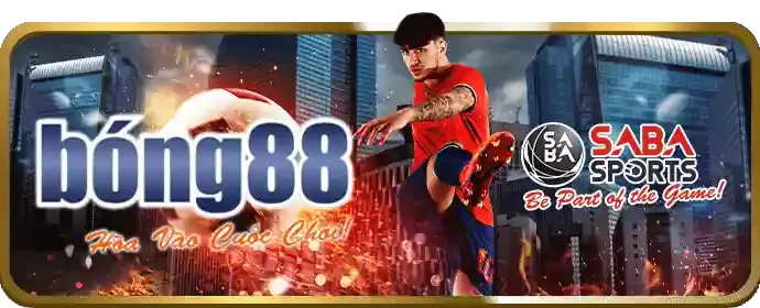 Theo dõi trận đấu và rút tiền